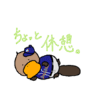 だっくびるずちゃん（個別スタンプ：20）