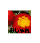 花と簡単なことば（個別スタンプ：7）