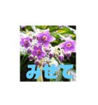花と簡単なことば（個別スタンプ：10）
