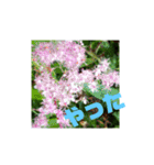 花と簡単なことば（個別スタンプ：14）