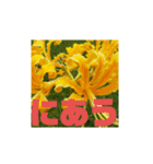 花と簡単なことば（個別スタンプ：22）