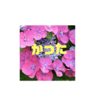 花と簡単なことば（個別スタンプ：29）