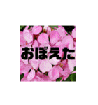 花と簡単なことば（個別スタンプ：36）