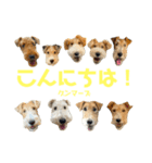 ぼろたんのおともだち グンマーズ（個別スタンプ：1）