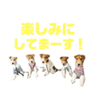 ぼろたんのおともだち グンマーズ（個別スタンプ：2）