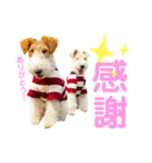ぼろたんのおともだち グンマーズ（個別スタンプ：13）