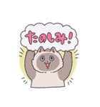 ふわツヤねこ（個別スタンプ：1）