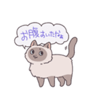 ふわツヤねこ（個別スタンプ：2）