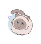 ふわツヤねこ（個別スタンプ：3）