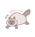 ふわツヤねこ（個別スタンプ：4）