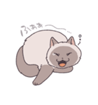 ふわツヤねこ（個別スタンプ：5）