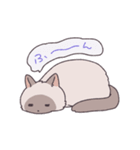 ふわツヤねこ（個別スタンプ：9）