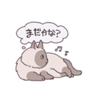 ふわツヤねこ（個別スタンプ：11）