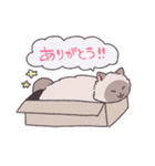 ふわツヤねこ（個別スタンプ：12）