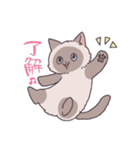 ふわツヤねこ（個別スタンプ：13）