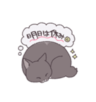ふわツヤねこ（個別スタンプ：17）