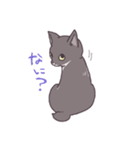 ふわツヤねこ（個別スタンプ：20）
