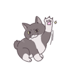 ふわツヤねこ（個別スタンプ：23）