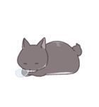ふわツヤねこ（個別スタンプ：29）