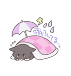 ふわツヤねこ（個別スタンプ：32）