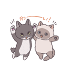 ふわツヤねこ（個別スタンプ：37）