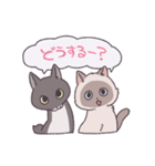 ふわツヤねこ（個別スタンプ：38）