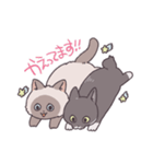 ふわツヤねこ（個別スタンプ：39）