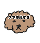 トイプー 子供に送る1（個別スタンプ：1）