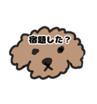 トイプー 子供に送る1（個別スタンプ：2）