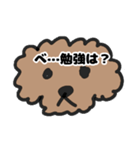 トイプー 子供に送る1（個別スタンプ：5）