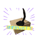 クロネコのルークくんpart2（個別スタンプ：2）