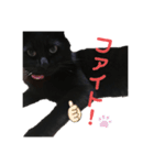 クロネコのルークくんpart2（個別スタンプ：13）