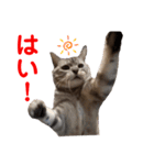 二代目マック②（個別スタンプ：1）