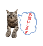 二代目マック②（個別スタンプ：4）