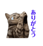 二代目マック②（個別スタンプ：5）
