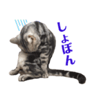 二代目マック②（個別スタンプ：8）
