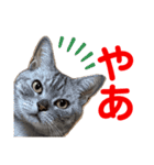 二代目マック②（個別スタンプ：9）