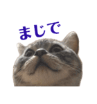二代目マック②（個別スタンプ：10）