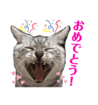 二代目マック②（個別スタンプ：11）