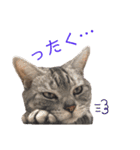 二代目マック②（個別スタンプ：13）