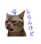 二代目マック②（個別スタンプ：16）