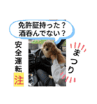 ひなまつり4（個別スタンプ：1）