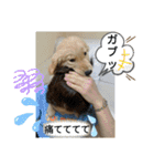 ひなまつり4（個別スタンプ：2）