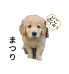 ひなまつり4（個別スタンプ：3）