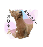 ひなまつり4（個別スタンプ：4）