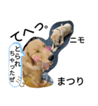ひなまつり4（個別スタンプ：5）