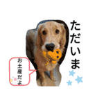 ひなまつり4（個別スタンプ：11）
