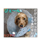 ひなまつり4（個別スタンプ：17）