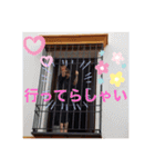 チャビック＆カズミ 2（個別スタンプ：16）