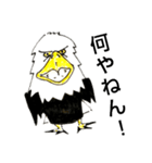 White head eagle怒り（個別スタンプ：3）